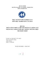 PHÂN TCH CHIẾN lược sản PHẨM của DÒNG sản PHẨM MACA ROOT FOR MEN THUỘC THƯƠNG HIỆU THE BODY SHOP  