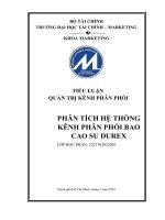 TIỂU LUẬN QUẢN TRỊ KÊNH PHÂN PHỐI PHÂN TÍCH hệ THỐNG KÊNH PHÂN PHỐI BAO CAO SU DUREX 