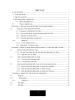 PHÂN TÍCH hệ THỐNG KÊNH PHÂN PHỐI của THƯƠNG HIỆU BIA TIGER tại THỊ TRƯỜNG VIỆT NAM 