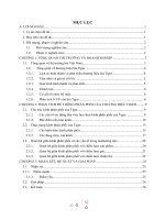 PHÂN TÍCH hệ THỐNG KÊNH PHÂN PHỐI của THƯƠNG HIỆU BIA TIGER tại THỊ TRƯỜNG VIỆT NAM 