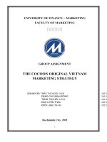 GROUP ASSIGNMENT THE COCOON ORIGINAL VIETNAM MARKETING STRATEGY 