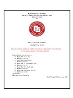 TIỂU LUẬN môn TIN học ỨNG DỤNG đề tài sử DỤNG máy BAY KHÔNG NGƯỜI lái TRONG VIỆC vận CHUYỂN HÀNG hóa  DỊCH vụ tới KHÁCH HÀNG 