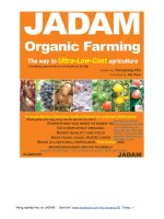 Nông nghiệp hữu cơ JADAM