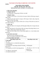 Trọn bộ giáo án Hoạt động trải nghiệm lớp 3_Cánh Diều