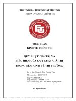 TIỂU LUẬN KINH tế CHÍNH TRỊ QUY LUẬT GIÁ TRỊ và BIỂU HIỆN của QUY LUẬT GIÁ TRỊ TRONG nên KINH tế THỊ TRƯỜNG 