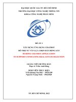 Xây dựng ứng dụng chatbot hỗ trợ tư vấn lựa chọn bất động sản