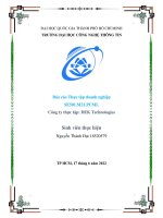 Báo cáo Thực tập doanh nghiệp Công ty thực tập: DEK Technologies