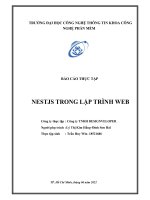Nestjs trong lập trình web (báo cáo thực tập)