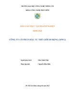 BÁO CÁO THỰC TẬP DOANH NGHIỆP SE501.M21 CÔNG TY CỔ PHẦN ĐẦU TƯ THẾ GIỚI DI ĐỘNG (MWG)