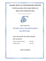 Tìm hiểu reactjs springboot framework