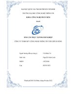 BÁO CÁO THỰC TẬP DOANH NGHIỆP CÔNG TY TNHH MTV CÔNG NGHỆ THÔNG TIN THẾ GIỚI DI ĐỘNG