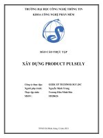Xây dựng product pulsely (báo cáo thực tập)