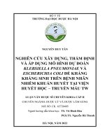 NGUYỄN DUY tân NGHIÊN cứu xây DỰNG, THẨM ĐỊNH và áp DỤNG mô HÌNH dự đoán KLEBSIELLA PNEUMONIAE và ESCHERICHIA COLI đề KHÁNG KHÁNG SINH TRÊN BỆNH NHÂN NHIỄM KHUẨN HUYẾT tại VIỆN HUYẾT học – TRUYỀN máu TRUNG ƯƠNG LUẬN văn  