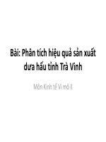 Báo cáo phân tích hiệu quả sản xuất dưa hấu tỉnh trà vinh