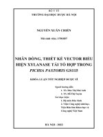 NHÂN DÒNG, THIẾT kế VECTOR, BIỂU HIỆN XYLANASE tái tổ hợp TRONG PICHIA PASTORIS GS115 KHÓA LUẬN tốt NGHIỆP dược sĩ 