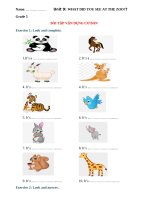 Ngữ pháp tiếng anh lớp 5  UNIT 9 