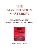 The manipulation masterkey (Bản Tiếng Việt)