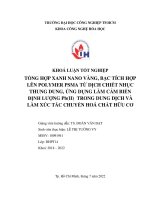 Tổng hợp xanh nano vàng, bạc tích hợp lên polymer PSMA từ dịch chiết Nhục Thung Dung, ứng dụng định lượng cation kim loại trong dung dịch và làm xúc tác phân hủy chất hữu cơ