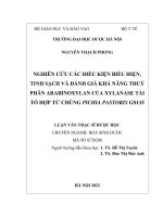 NGUYỄN THẠCH PHONG NGHIÊN cứu các điều KIỆN BIỂU HIỆN, TINH SẠCH và ĐÁNH GIÁ KHẢ NĂNG THUỶ PHÂN ARABINOXYLAN của XYLANASE tái tổ hợp từ CHỦNG PICHIA PASTORIS GS115 LUẬN văn THẠC sĩ dược học 