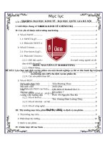 kế hoạch marketing mix cho tesla