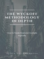 Tài Liệu The Wyckoff Methodology In Deplth  Ruben Villahermosa