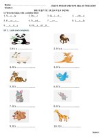 Grade 5 Unit 9 WHAT DID YOU SEE AT THE ZOO ?