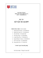 Bài thi cuối kỳ môn kỹ năng mềm (03 tc) dự án gì vậy scalop 