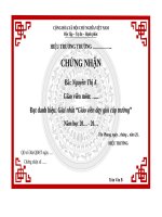 Mẫu Giấy chứng nhận GVG cấp trường (dùng để in)