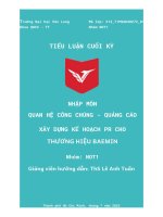 Xây dựng kế hoạch pr cho thương hiệu baemin 