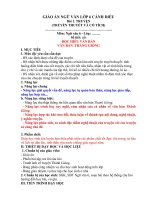 GIÁO án NGỮ VĂN LỚP 6 CÁNH DIỀU 