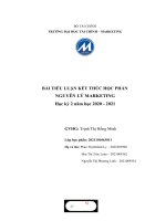 PHÂN TÍCH THỰC TRẠNG CHIẾN lược PHÂN PHỐI của sản PHẨM mì tôm hảo hảo THUỘC CÔNG TY VINA ACECOOK 