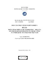 PHÂN TÍCH CHIẾN lược MARKETING – MIX của sản PHẨM KEM ĐÁNH RĂNG PS THUỘC CÔNG TY TNHH QUỐC tế UNILEVER VIỆT NAM 
