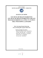 XÂY DỰNG kế ẠCH MARKETING HO xây DỰNG kế HOẠCH MARKETING CHO sản PHẨM KEM MERINO của CÔNG TY cổ PHẦN THỰC PHẨM ĐÔNG LẠNH KIDO 