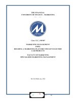 TOPIC BUILDING a MARKETING PLAN FOR VINFASTS ELECTRIC CAR PRODUCTS 