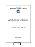 TÌM HIỂU CHIẾN lược sản PHẨM nước KHOÁNG của CÔNG TY TNHH LAVIE 