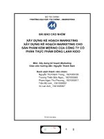 XÂY DỰNG kế ẠCH MARKETING HO xây DỰNG kế HOẠCH MARKETING CHO sản PHẨM KEM MERINO của CÔNG TY cổ PHẦN THỰC PHẨM ĐÔNG LẠNH KIDO 