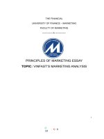 PRINCIPLES OF MARKETING ESSAY TOPIC VINFAST’S MARKETING ANALYSIS 