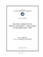 CREATING a MARKETING PLAN FOR HNK’S NEW PRODUCT – CHELSEA BOOT IN THE PERIOD 122021 – 122022 