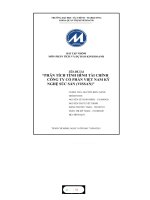 PHÂN TÍCH TÌNH HÌNH tài CHÍNH CÔNG TY cổ PHẦN VIỆT NAM kỹ NGHỆ súc sản (VISSAN) 