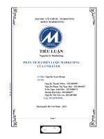 TIỂU LUẬN nguyên lý marketing PHÂN TÍCH CHIẾN lược MARKETING của UNILEVER 