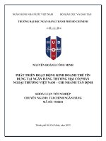 Phát triển hoạt động kinh doanh thẻ tín dụng tại ngân hàng thương mại cổ phần ngoại thương việt nam   chi nhánh tân định (2)