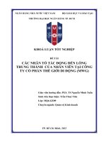 Các nhân tố tác động đến lòng trung thành của nhân viên tại công ty cổ phần thế giới di động (MWG) 2022