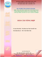 BCTH MAN 2021 30 11 2021 (1)