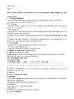 Giáo án môn Địa lí lớp 10 sách Kết nối tri thức: Bài 8