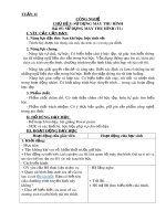 Giáo án môn Công nghệ lớp 3 sách Kết nối tri thức: Tuần 11