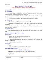 Giáo án môn Lịch sử lớp 6 sách Kết nối tri thức: Bài 10