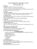 Giáo án môn Công nghệ lớp 7 sách Kết nối tri thức: Bài 10