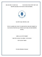 Nâng cao hiệu quả cho vay khách hàng doanh nghiệp tại ngân hàng thương mại cổ phần Quân đội, chi nhánh Bình Dương