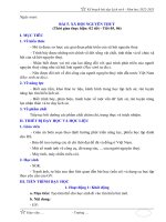 Giáo án môn Lịch sử lớp 6 sách Kết nối tri thức: Bài 5