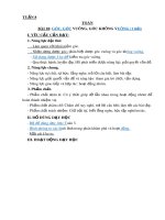 Giáo án môn Toán lớp 3 sách Kết nối tri thức: Tuần 8